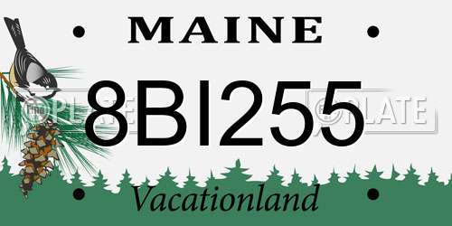 8BI255 Maine License Plate