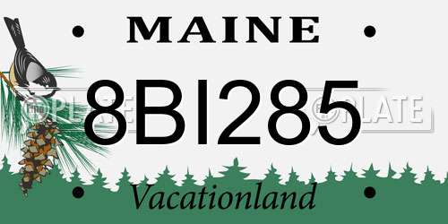 8BI285 Maine License Plate