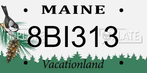 8BI313 Maine License Plate