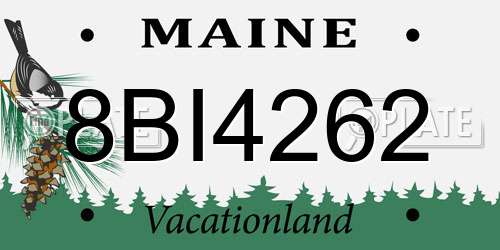 8BI4262 Maine License Plate
