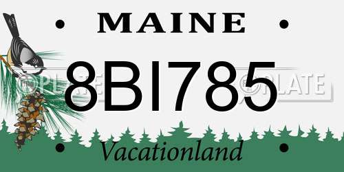 8BI785 Maine License Plate