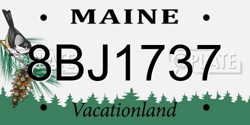 8BJ1737 Maine License Plate