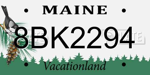 8BK2294 Maine License Plate
