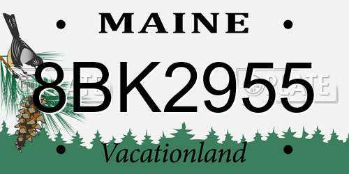 8BK2955 Maine License Plate