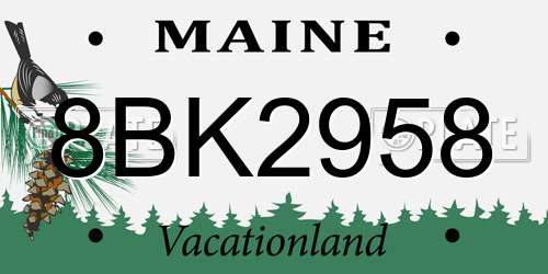 8BK2958 Maine License Plate