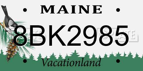 8BK2985 Maine License Plate