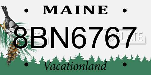 8BN6767 Maine License Plate