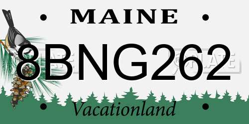 8BNG262 Maine License Plate