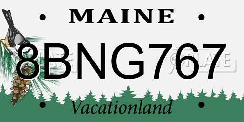8BNG767 Maine License Plate