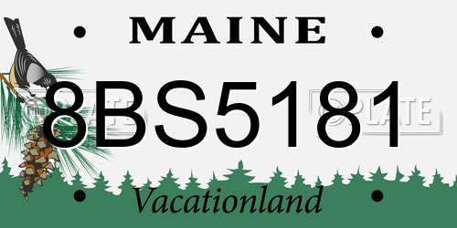 8BS5181 Maine License Plate