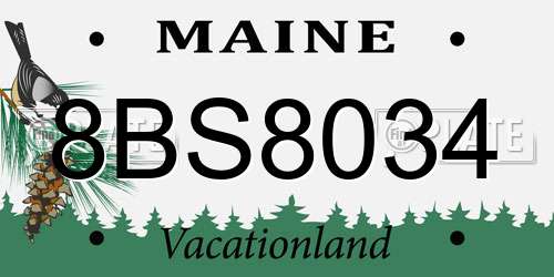 8BS8034 Maine License Plate