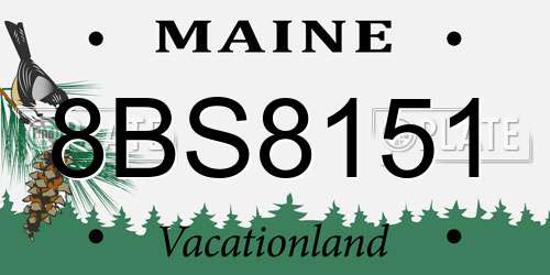 8BS8151 Maine License Plate