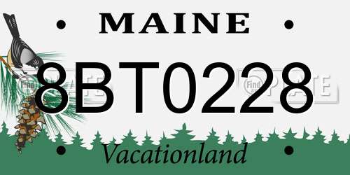 8BT0228 Maine License Plate