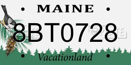 8BT0728 Maine License Plate