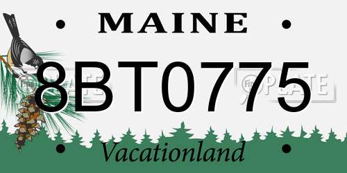 8BT0775 Maine License Plate
