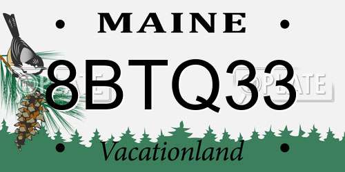 8BTQ33 Maine License Plate