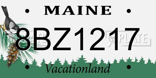 8BZ1217 Maine License Plate