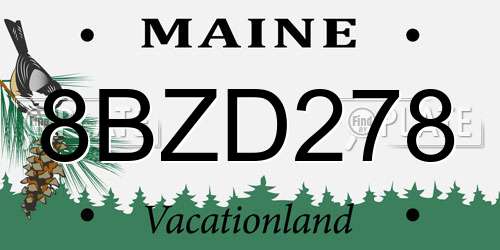 8BZD278 Maine License Plate