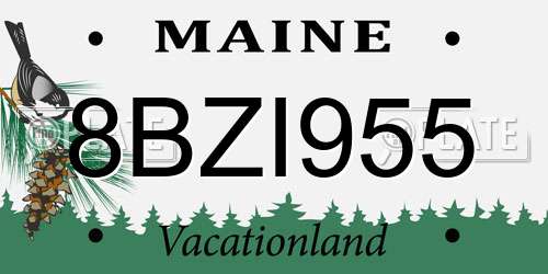 8BZI955 Maine License Plate
