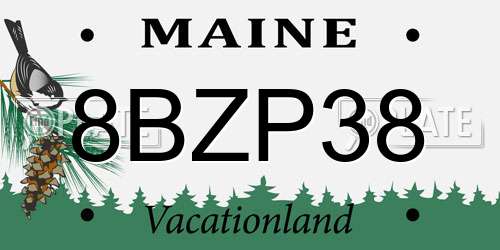8BZP38 Maine License Plate