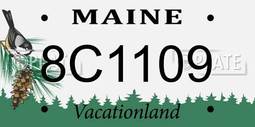 8C1109 Maine License Plate
