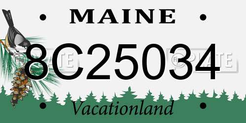 8C25034 Maine License Plate