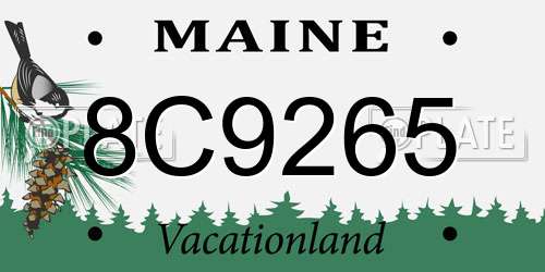 8C9265 Maine License Plate