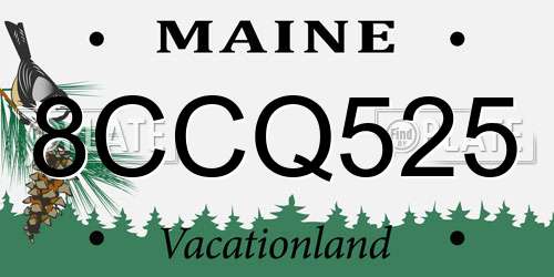 8CCQ525 Maine License Plate
