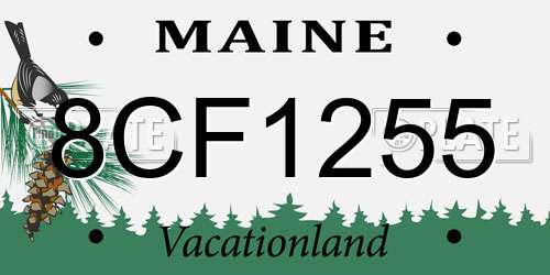 8CF1255 Maine License Plate