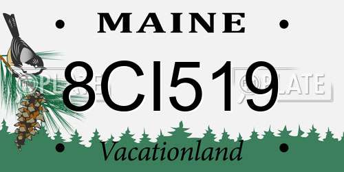 8CI519 Maine License Plate