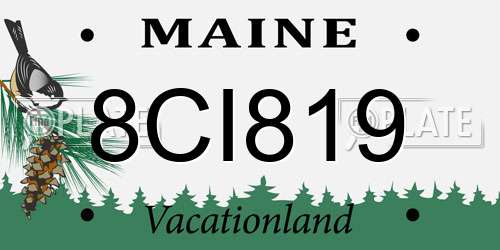 8CI819 Maine License Plate