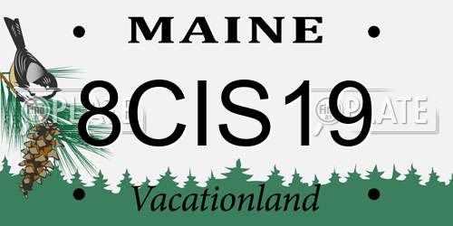 8CIS19 Maine License Plate