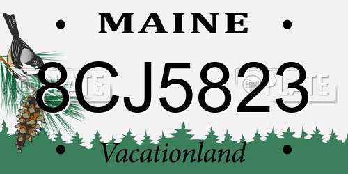 8CJ5823 Maine License Plate