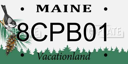 8CPB01 Maine License Plate