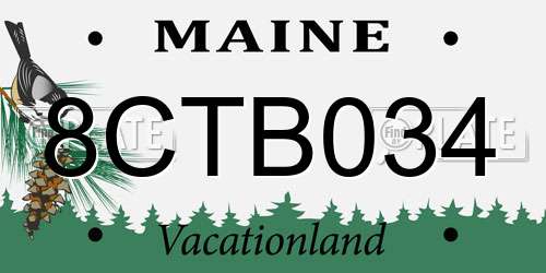 8CTB034 Maine License Plate