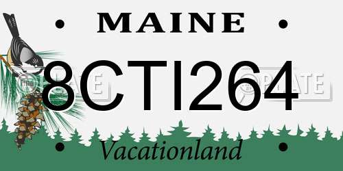 8CTI264 Maine License Plate