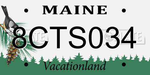 8CTS034 Maine License Plate
