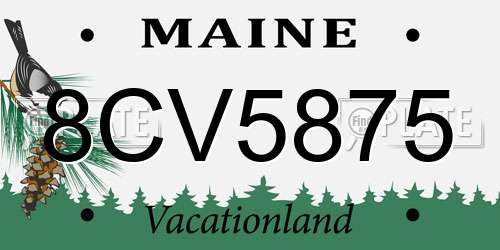 8CV5875 Maine License Plate