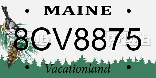 8CV8875 Maine License Plate