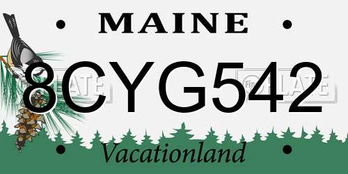8CYG542 Maine License Plate