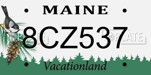 8CZ537 Maine License Plate