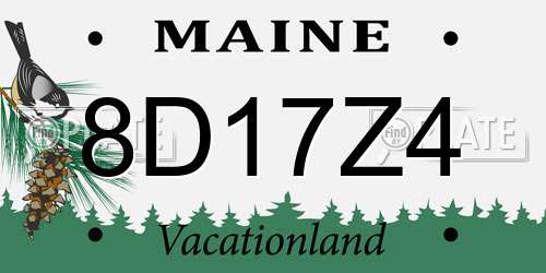 8D17Z4 Maine License Plate
