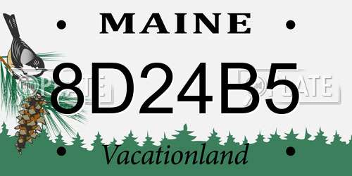 8D24B5 Maine License Plate