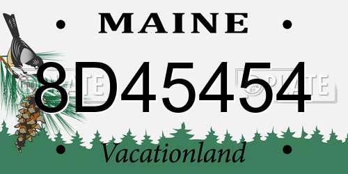 8D45454 Maine License Plate