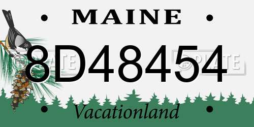 8D48454 Maine License Plate