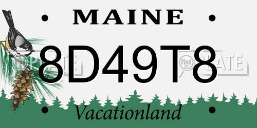 8D49T8 Maine License Plate