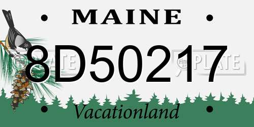 8D50217 Maine License Plate