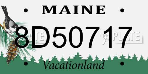 8D50717 Maine License Plate