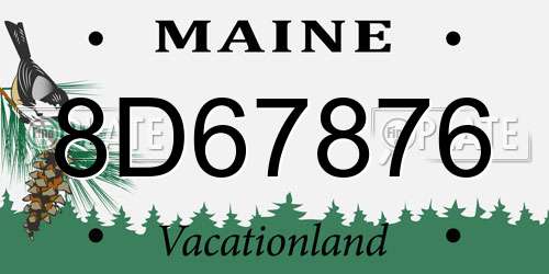 8D67876 Maine License Plate