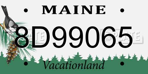 8D99065 Maine License Plate
